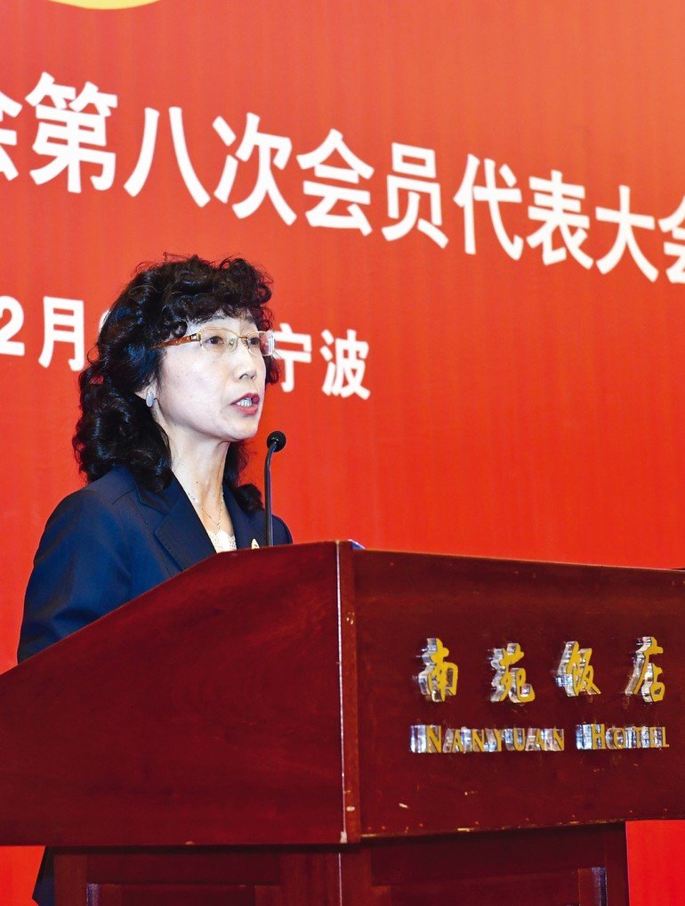 Qin Ke General Secretary Cdmia China Die Mould Industry Association Chinesische Firmen Streben Langfristige Kooperationen An